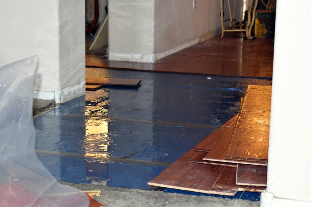 Professional Water Damage Repair technician working in Clinton, IN